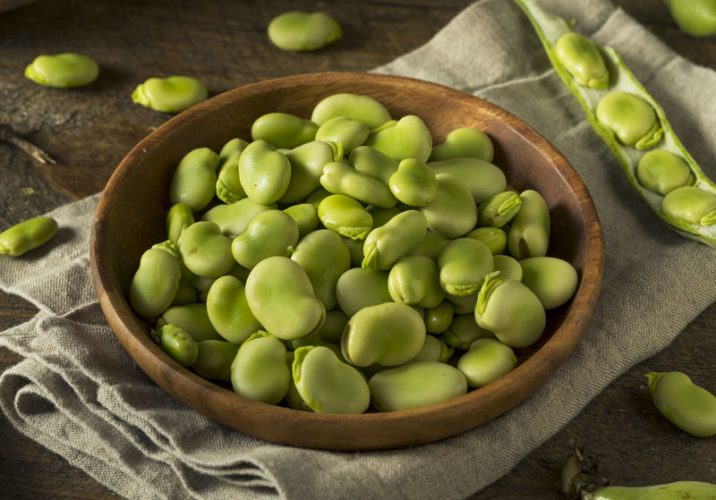 Faba beans image