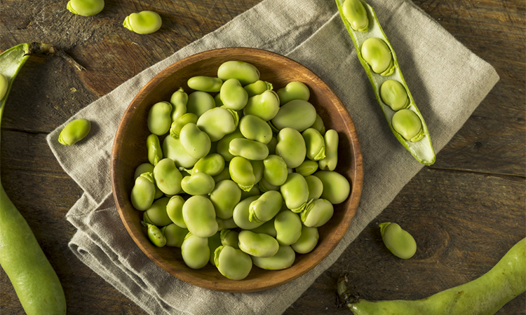 Raw Organic Fresh Green Fava Beans in a bowl