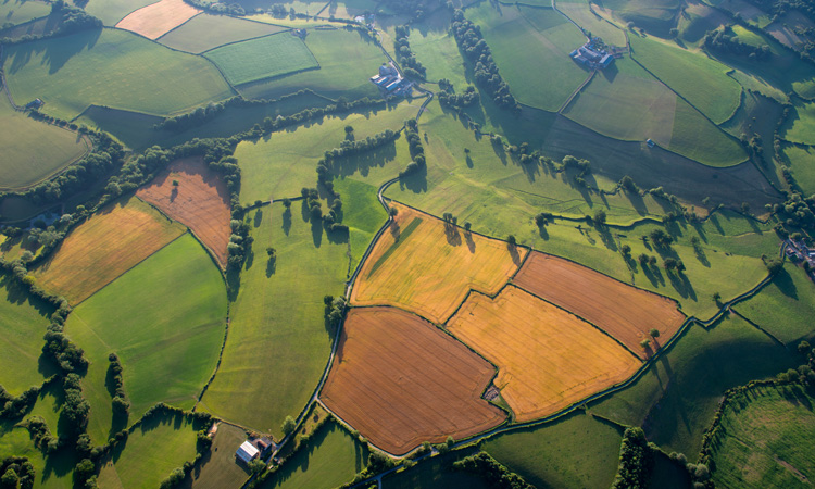 Agriculture Bill moves forward with return to Lords