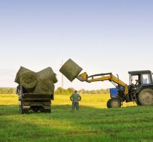 Report looks at redefining productivity and efficiency of UK farming systems