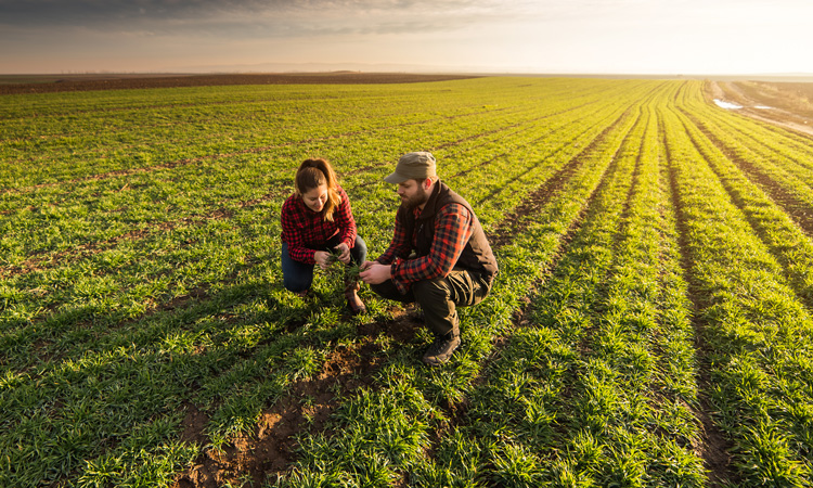 FDA announces new round of funding to support food safety education