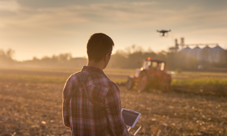 FAO members call for closer collaboration to transform food systems