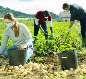 Unions call on EU ministers to support farmers in next stage of pandemic