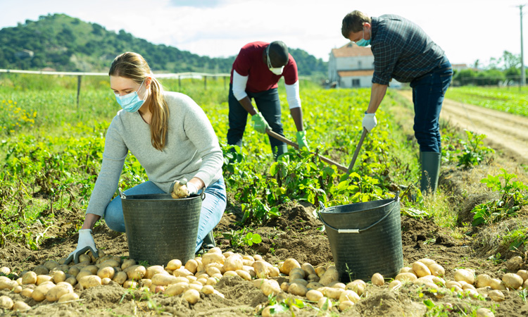 Unions call on EU ministers to support farmers in next stage of pandemic
