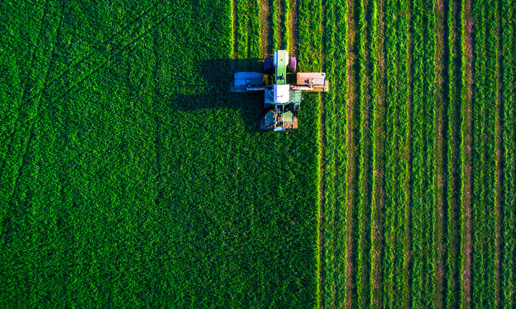 farming organic food