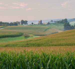 farm-field