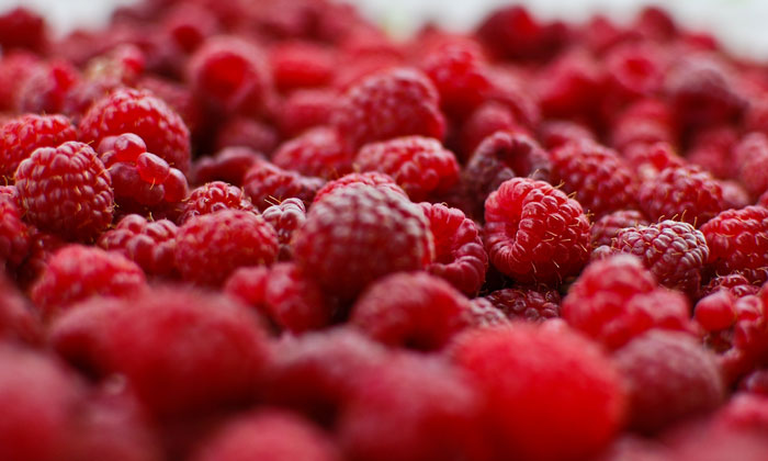 fdf-food-exports