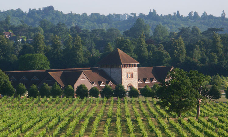 wines