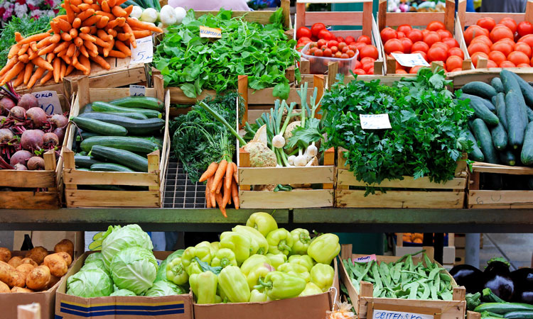 Organic Foods: What You Need to Know 