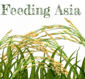 feeding asia