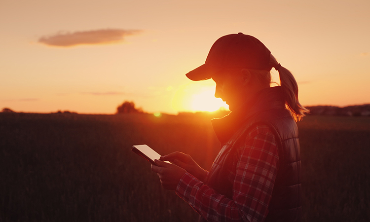 female-owned farms in the US