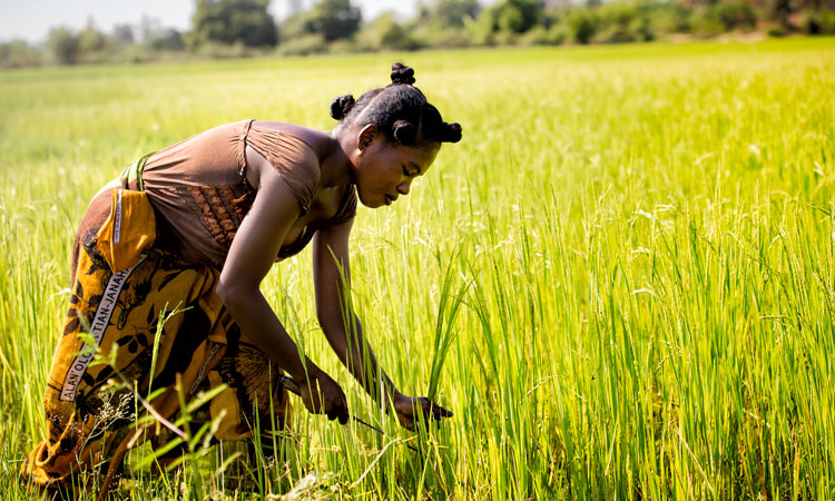Female African farmer