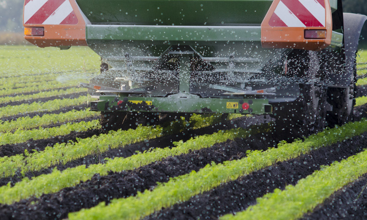 Technique could enable cheaper, localised fertiliser production