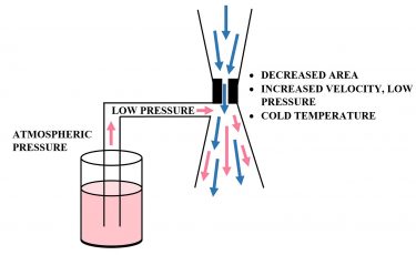 Figure 1 Bernoulli and JT