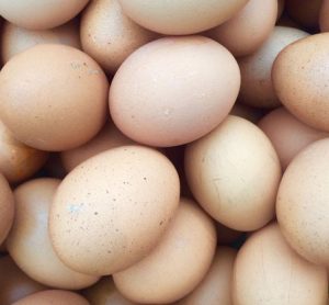 fipronil-eggs