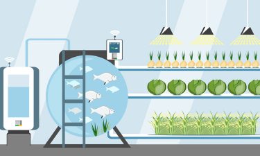 aquaponics