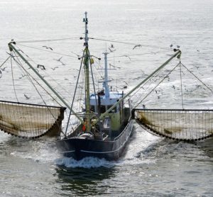 Fisheries Bill enters the House of Commons for scrutiny