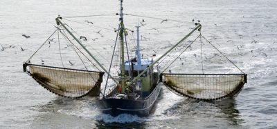 Fisheries Bill enters the House of Commons for scrutiny