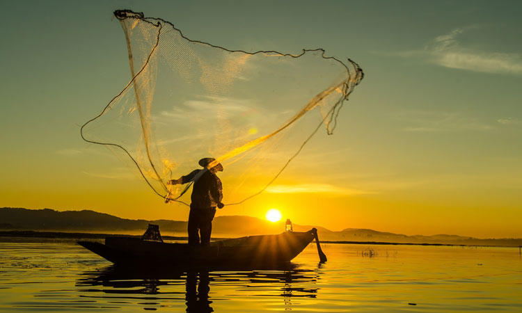 fishing