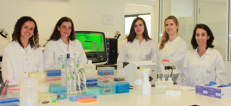 five strong team in lab