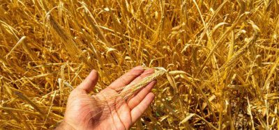 Experts warn UK food system vulnerable to major crisis