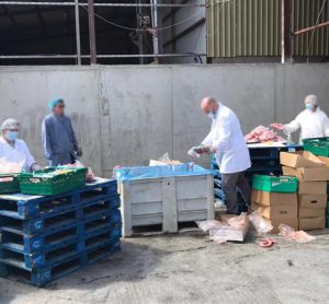 12,000 tonnes of fraudulent food seized in annual OPSON operation