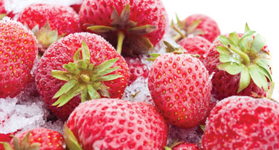Food freezing strawberries