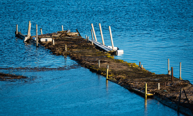 food-security-sea-level