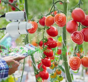 Researchers collate best tech solutions to solve food production challenges