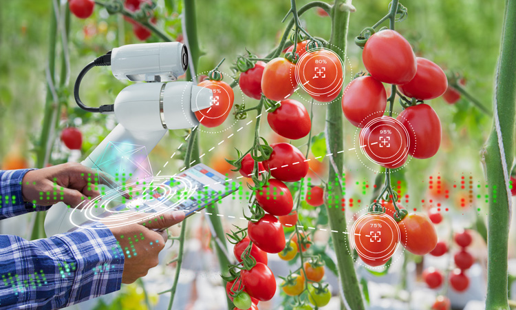 Researchers collate best tech solutions to solve food production challenges