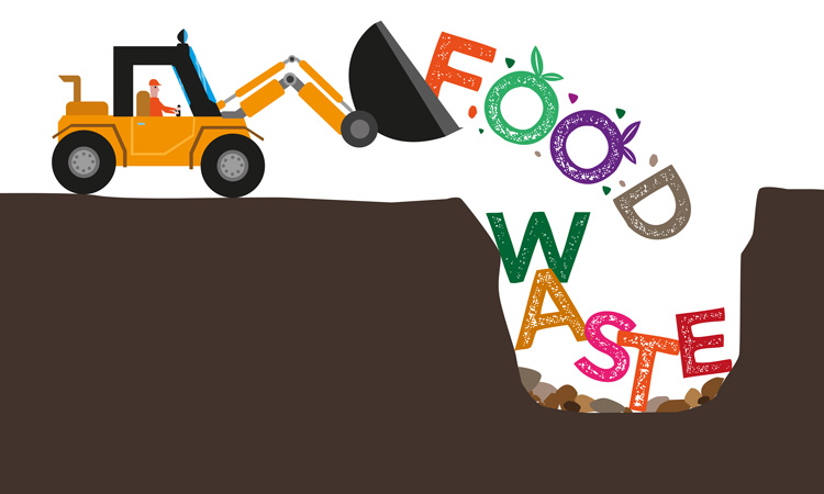 EPA and USDA name six new 'US Food Loss and Waste 2030 Champions'