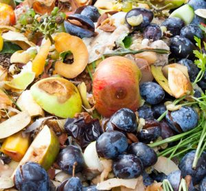 £1.15 million Defra funding to help tackle UK food waste