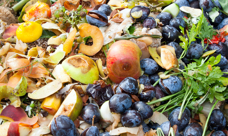 £1.15 million Defra funding to help tackle UK food waste