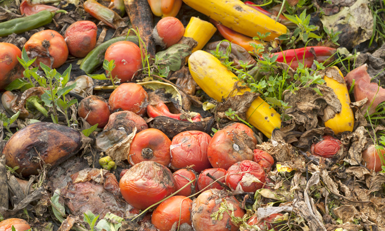 WRAP receives scale-up funding to accelerate action on global food waste