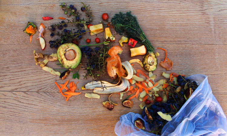 Report identifies "untapped potential" to reduce European food waste