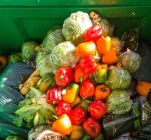 FAO launches platform to accelerate action on food loss and waste