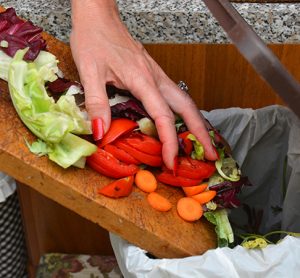 931 million tonnes of food was wasted in 2019