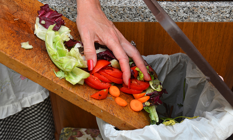 931 million tonnes of food was wasted in 2019