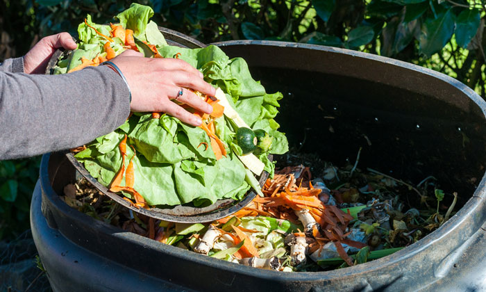 US States struggle to curb food waste despite national targets