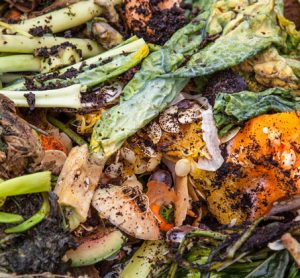 food-waste-header