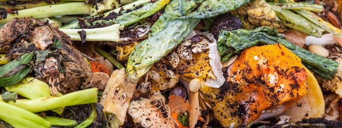 food-waste-header