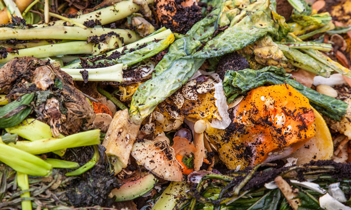 5 Ways Food Waste is Destroying Our Beautiful Planet - New Food