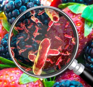 Annual IFSAC report on the sources of foodborne illness released