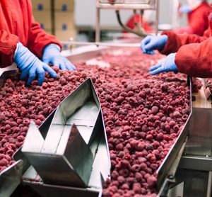 Research evaluates environmental monitoring by frozen food industry