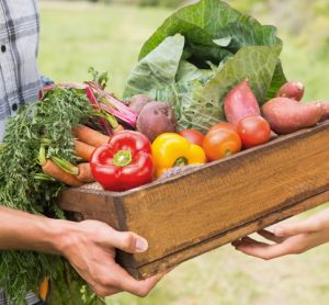 farmers holding fruit and veg