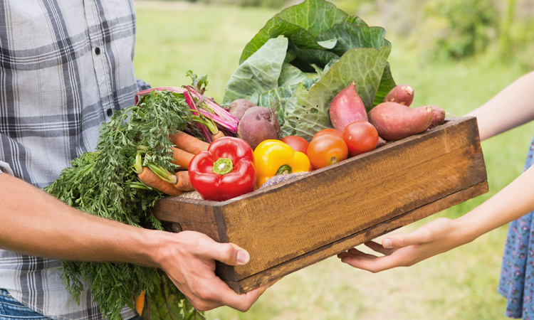 farmers holding fruit and veg