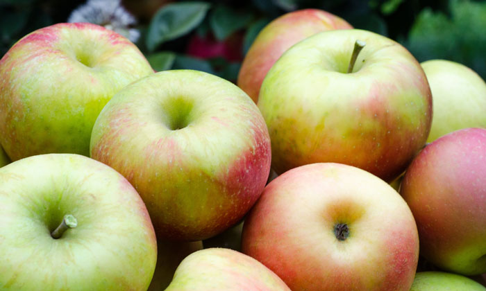 fruit-safety-quality-assurance-apple