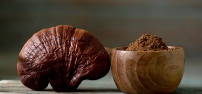 functional mushrooms reishi image