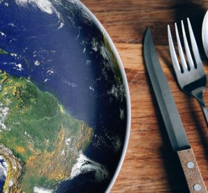 Policy changes could reduce food related emissions, says report