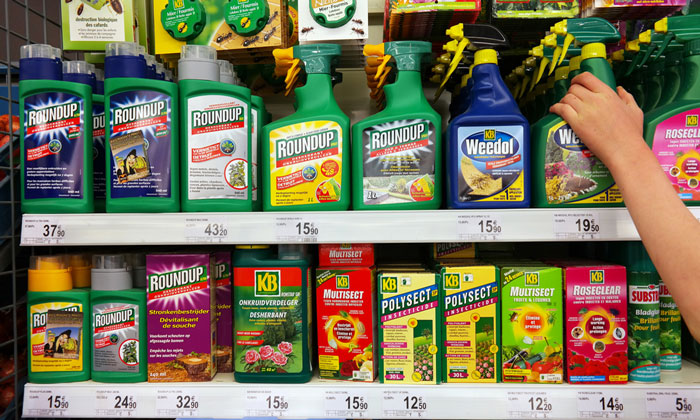 glyphosate